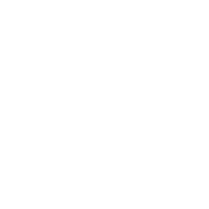 voices